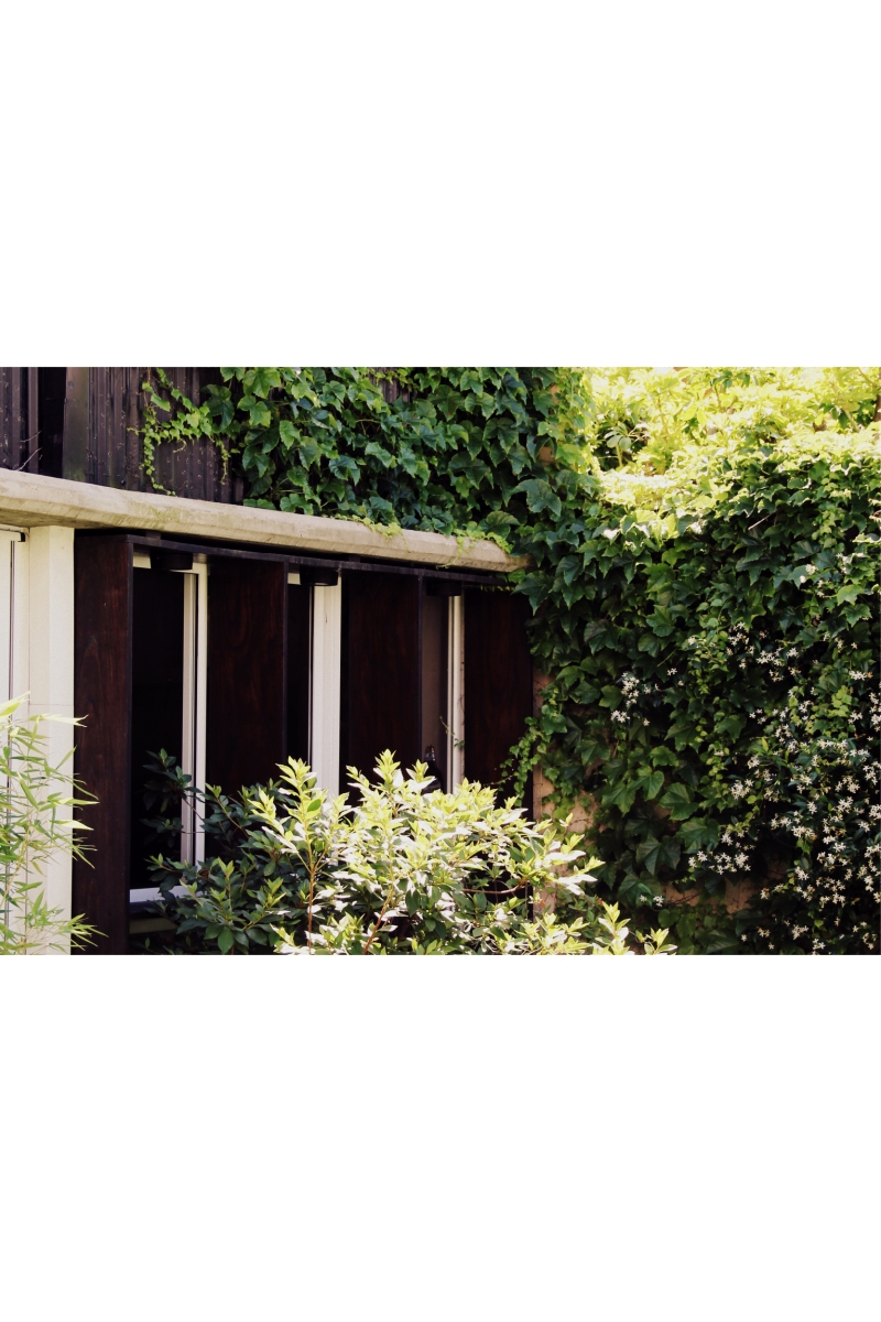 Quincho Banfield ||| Banfield ||| DRM Ariquitectura